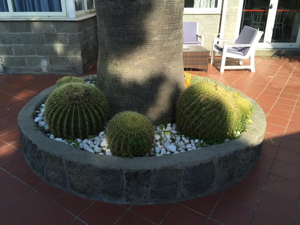 Hotel Villa Al Parco Forio di Ischia Eksteriør billede